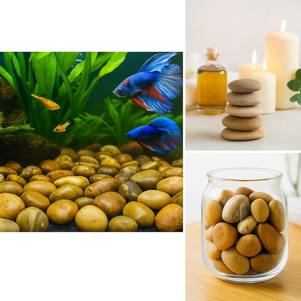 WALMOH Highly Polished Marble Pebbles for Home Decor, SPA, Landscaping, Fish Aquiaraim, Vase Filler, Planting, 2-3 Inches, 1Kg, (Marble Brown)