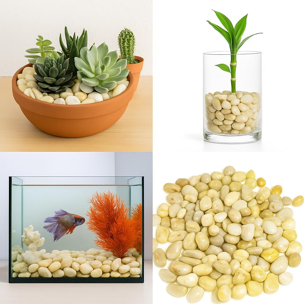 WALMOH Aquarium Gravel River Rock - Natural Highly Premium Polished Decorative Gravel, for Aquariums, Landscaping, Vase Fillers 1 KG (Galaxy White Gold)