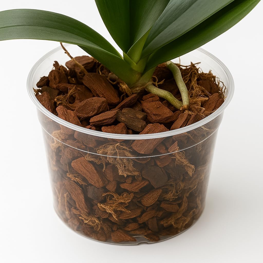 WALMOH 100% Natural Wooden Soil Topper – Premium Wood Chip Mulch for Moisture Retention, Weed Suppression, Soil Insulation & Garden Health, Ideal for Plants, Raised Beds & Flower Beds, 500 grams
