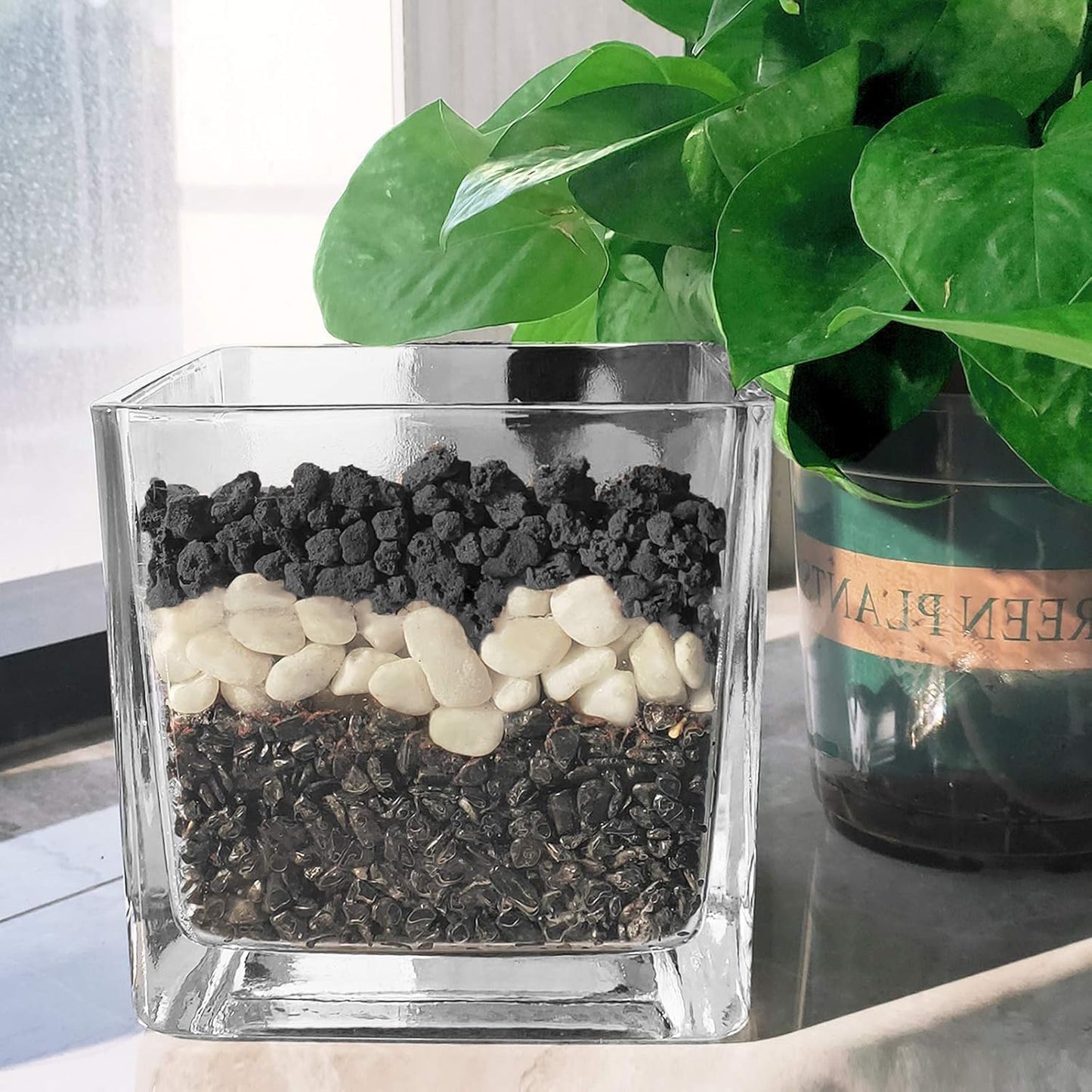 Black Horticultural Lava Rock Soil Additive for Cacti Succulents Plants No Dyes or Chemicals 100% Pure Volcanic Rock 2 LB (900 Grams) Top Dressing