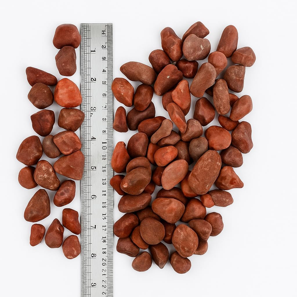 WALMOH Aquarium Gravel River Rock - Natural Highly Premium Polished Decorative Gravel, for Aquariums, Landscaping, Vase Fillers 1/2 KG 500Grams (Redish Brown)