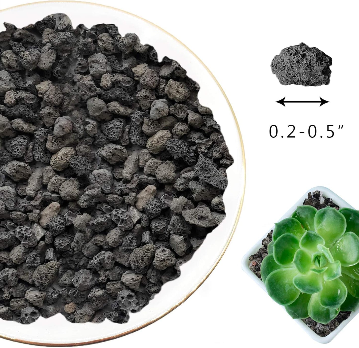Black Horticultural Lava Rock Soil Additive for Cacti Succulents Plants No Dyes or Chemicals 100% Pure Volcanic Rock 2 LB (900 Grams) Top Dressing