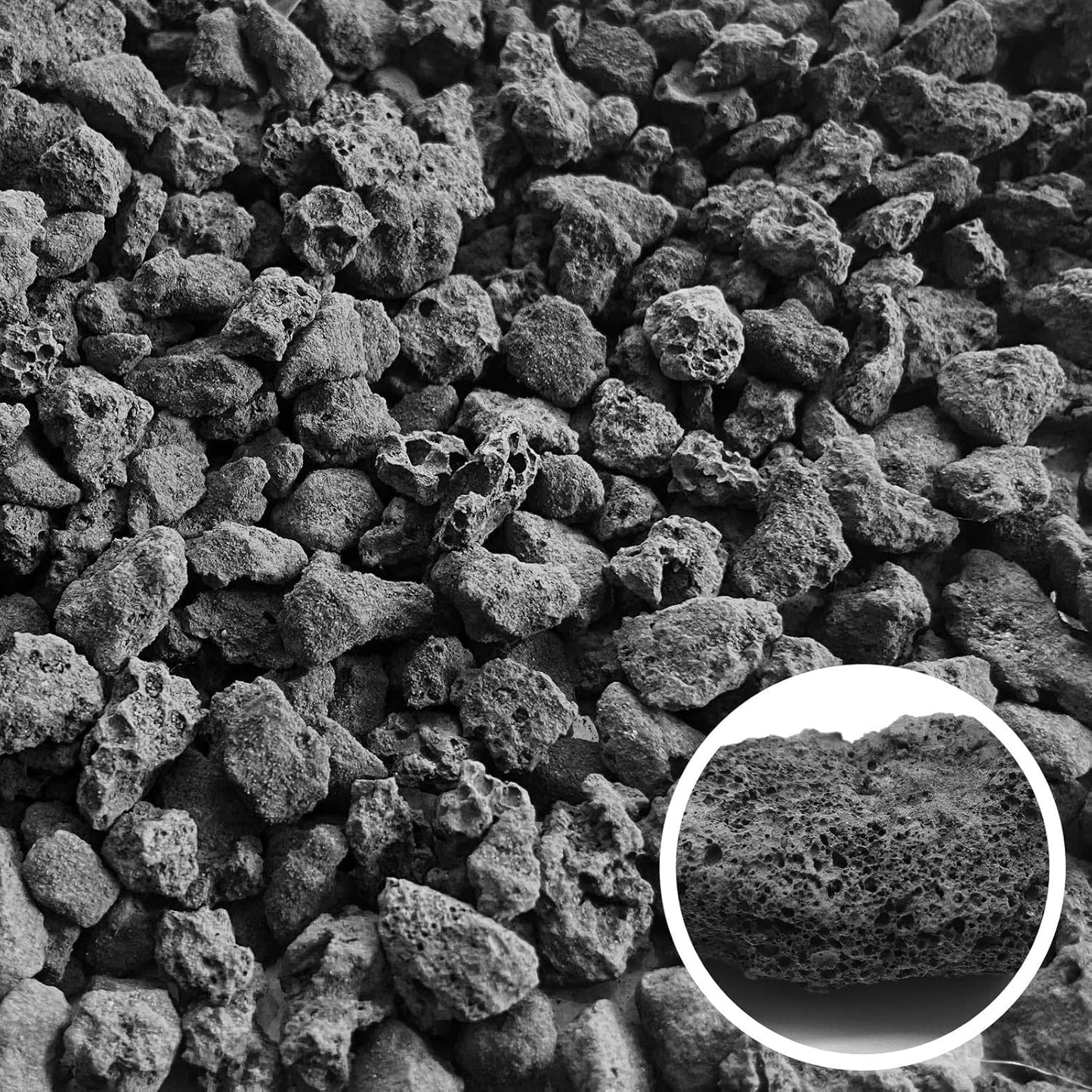 Black Horticultural Lava Rock Soil Additive for Cacti Succulents Plants No Dyes or Chemicals 100% Pure Volcanic Rock 2 LB (900 Grams) Top Dressing