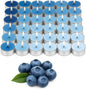 WALMOH Premium Scented Tealight Candles, 36 Pieces, 13g Each, 4 to 5 Hours Burn Time (Blueberry Bloom)
