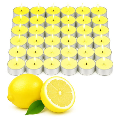 WALMOH Premium Scented Tealight Candles, 36 Pieces, 13g Each, 4 to 5 Hours Burn Time (Blueberry Bloom)