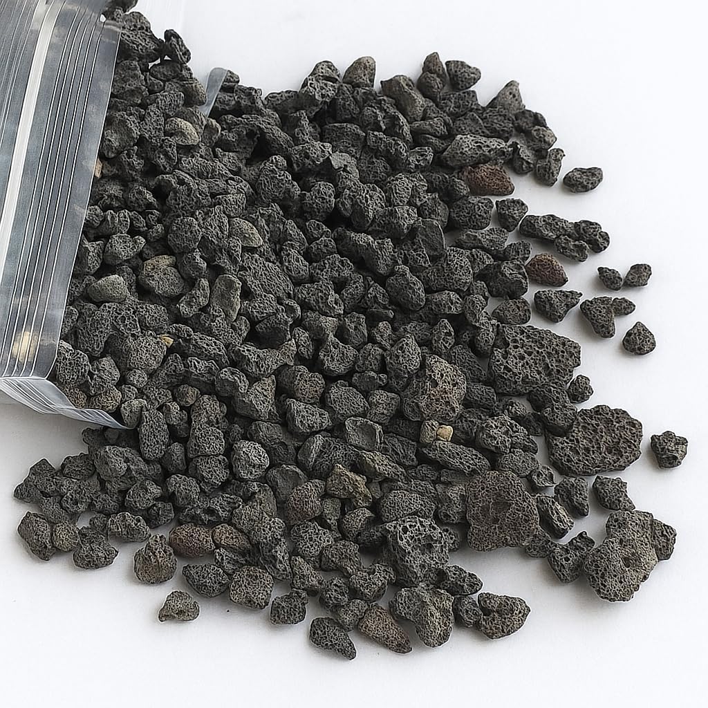 Black Horticultural Lava Rock Soil Additive for Cacti Succulents Plants No Dyes or Chemicals 100% Pure Volcanic Rock 2 LB (900 Grams) Top Dressing