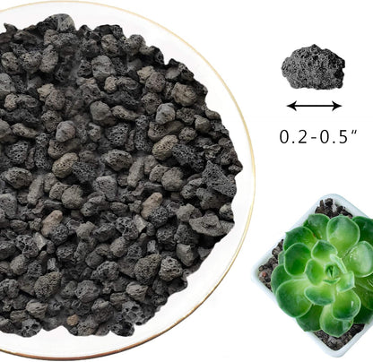 Black Horticultural Lava Rock Soil Additive for Cacti Succulents Plants No Dyes or Chemicals 100% Pure Volcanic Rock 2 LB (900 Grams) Top Dressing