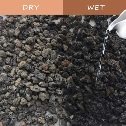 Black Horticultural Lava Rock Soil Additive for Cacti Succulents Plants No Dyes or Chemicals 100% Pure Volcanic Rock 2 LB (900 Grams) Top Dressing